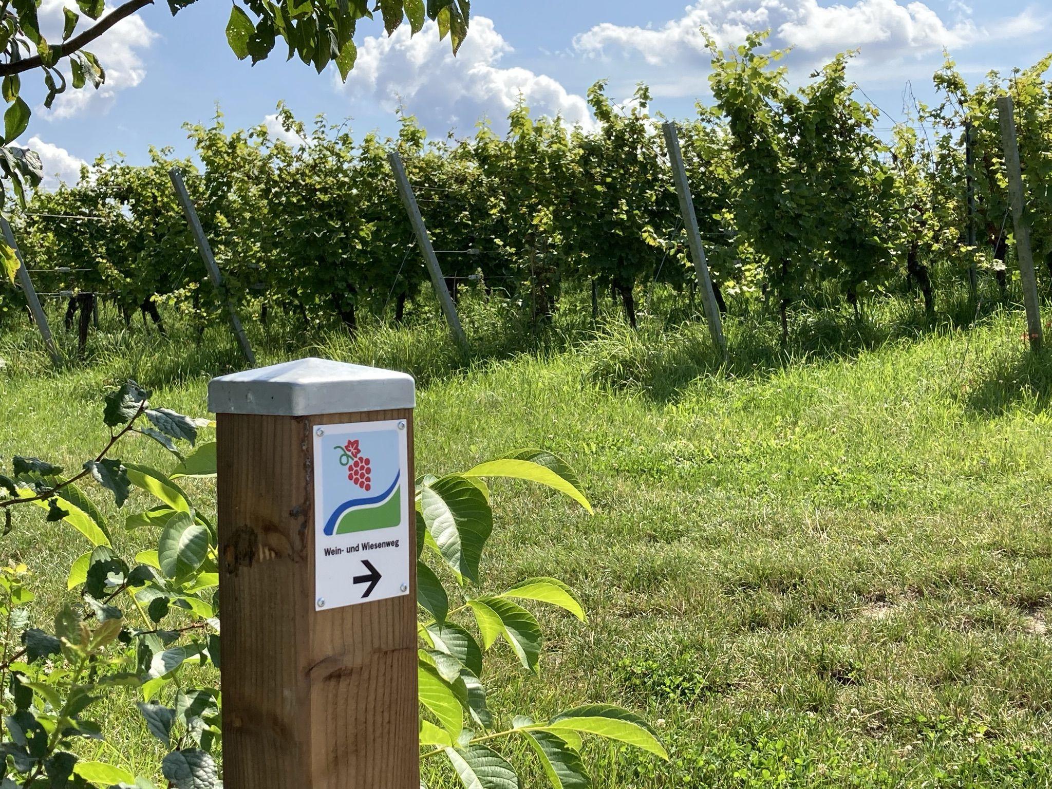 Wegweiser Wein- und Wiesenweg