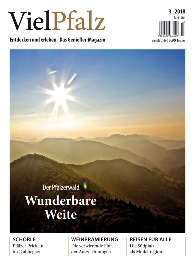 VielPfalz-Ausgabe 3/2018