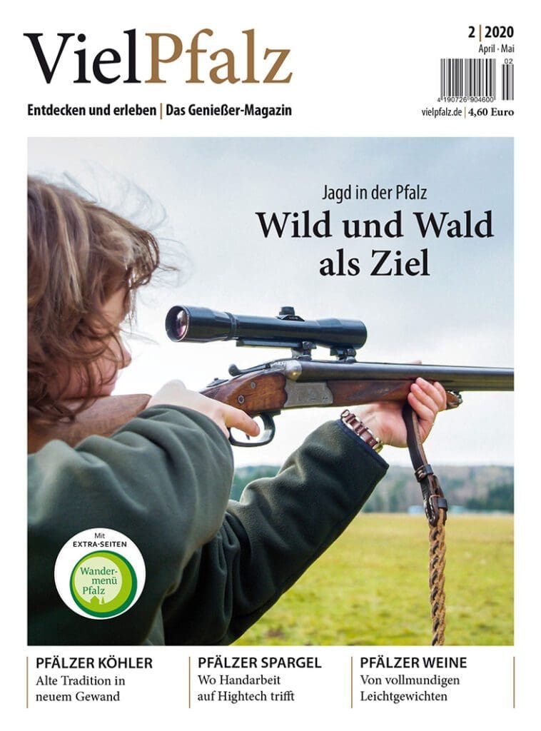 VielPfalz-Ausgabe 2/2020