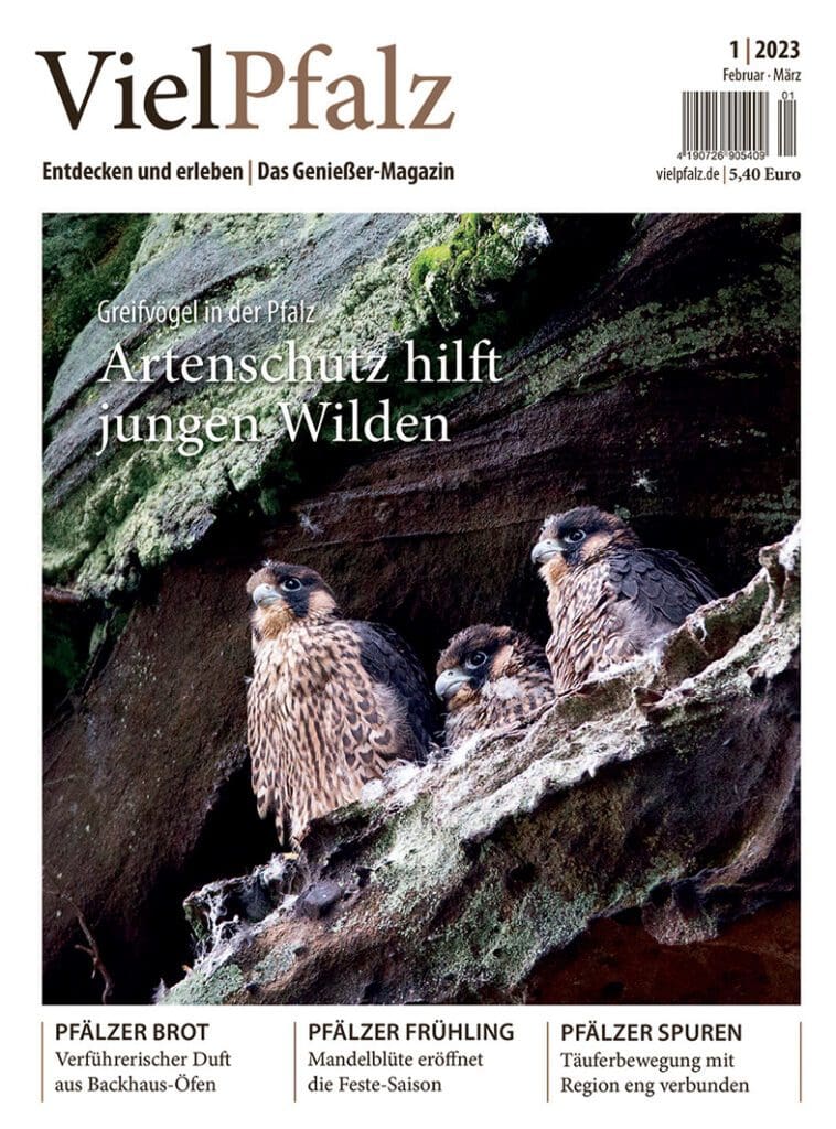 Titelseite VielPfalz-Ausgabe 