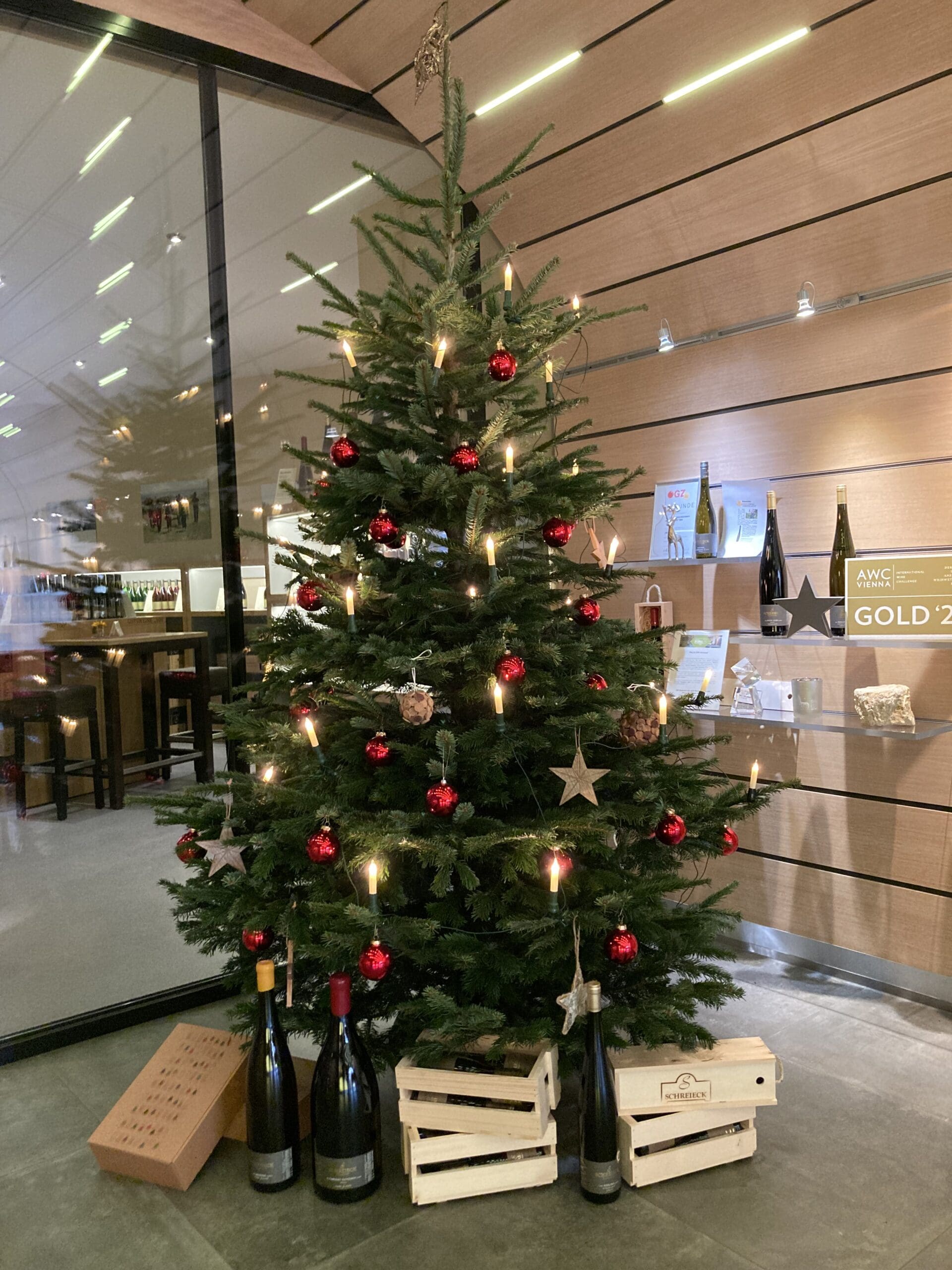 Weihnachtsbaum im Wein- und Sekthaus Schreieck_Maikammer
