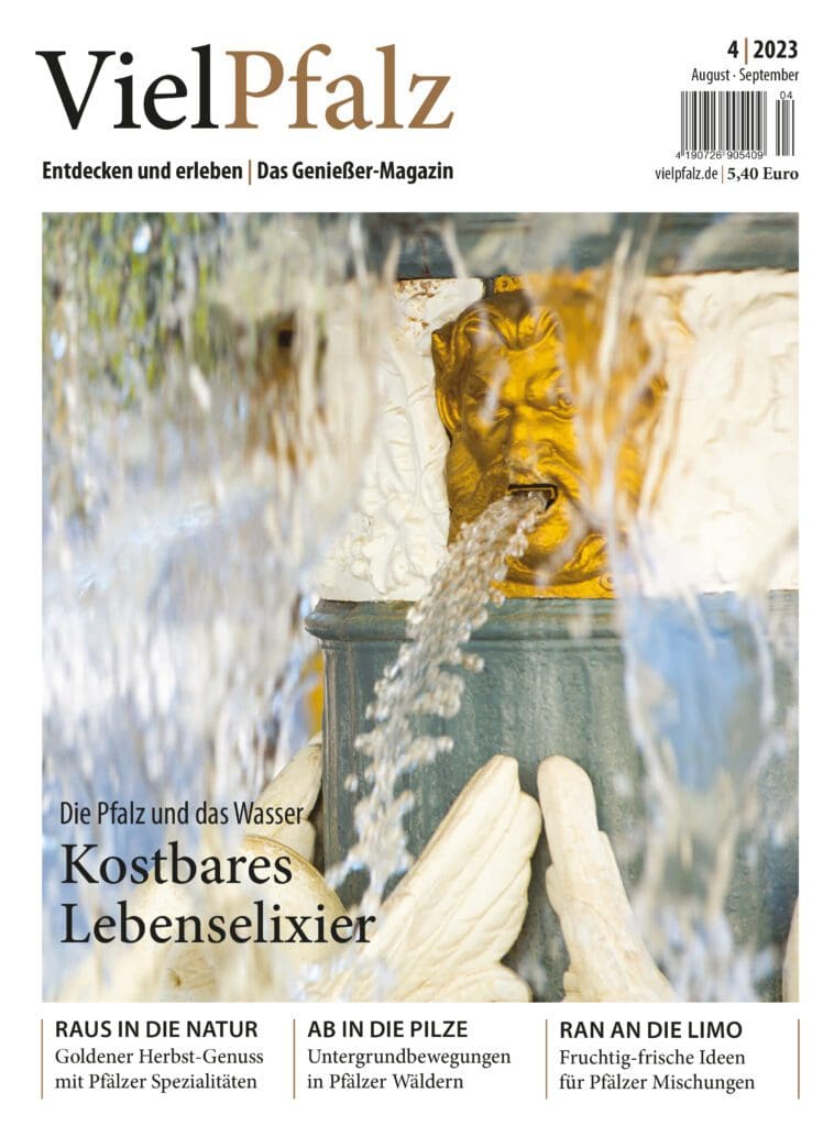 VielPfalz-Ausgabe 4/2023