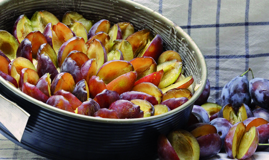 Weinwanderung und Fest &amp;quot;Rund um die Quetsch&amp;quot; | VielPfalz