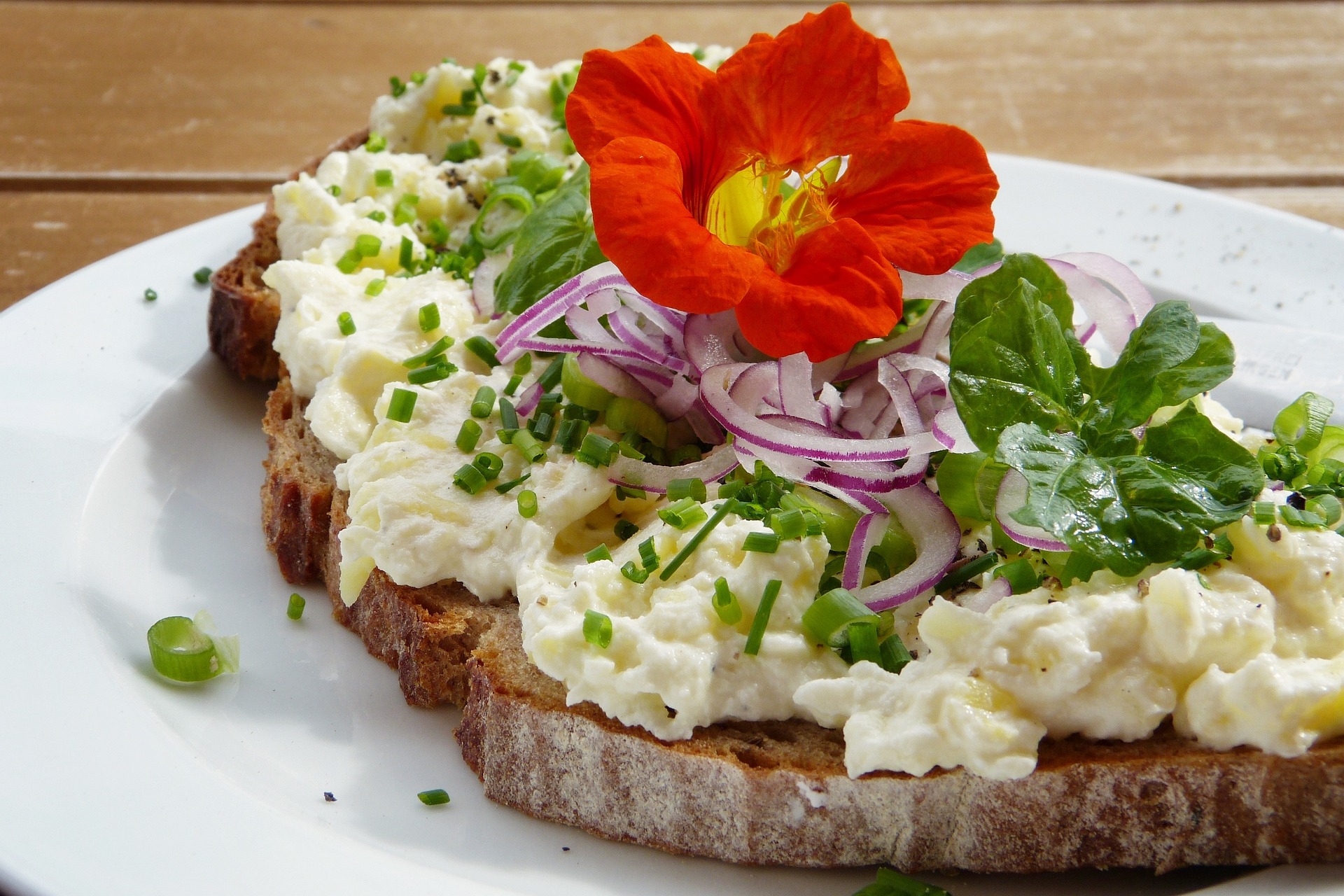 Frischkäsebrot mit Kapuzzinerkresse