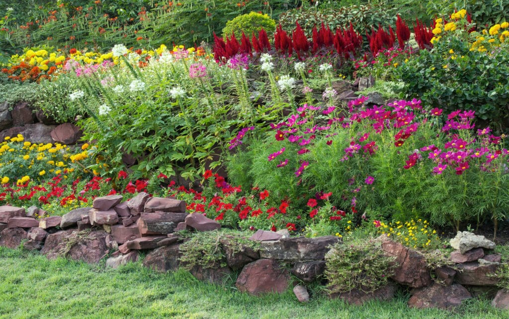 Trockenmauer mit bunten Sommerblumen