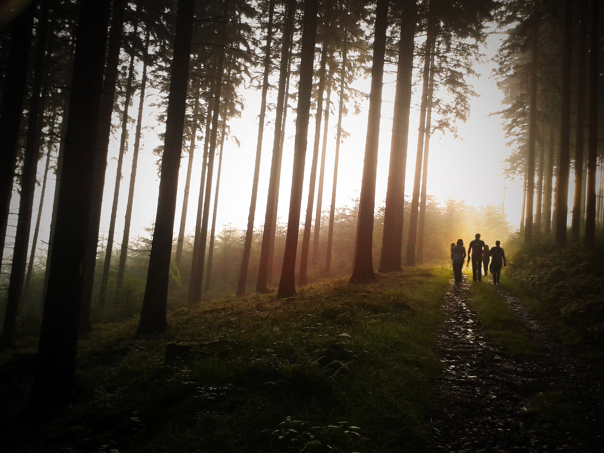 Familie wandern