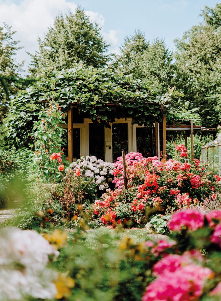 Blick in einen Garten mit roten Stauden