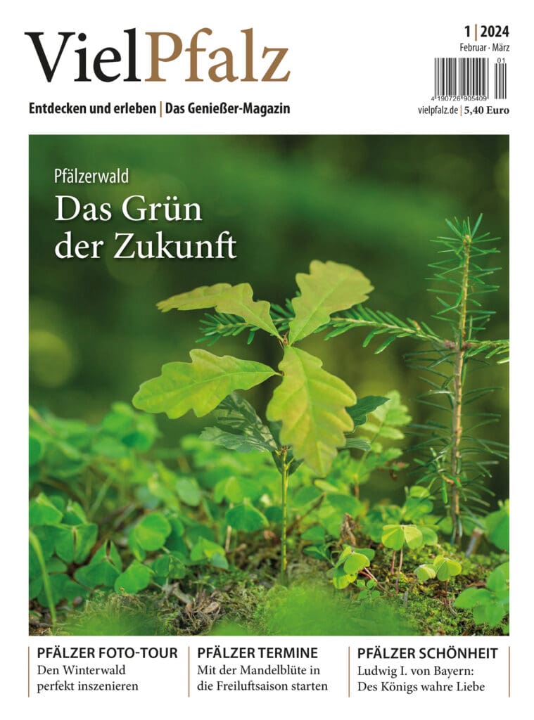 VielPfalz-Ausgabe 1/2024