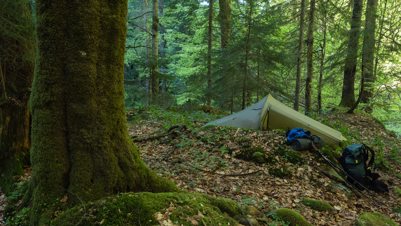 Ein Zelt im Karpaten-Wald