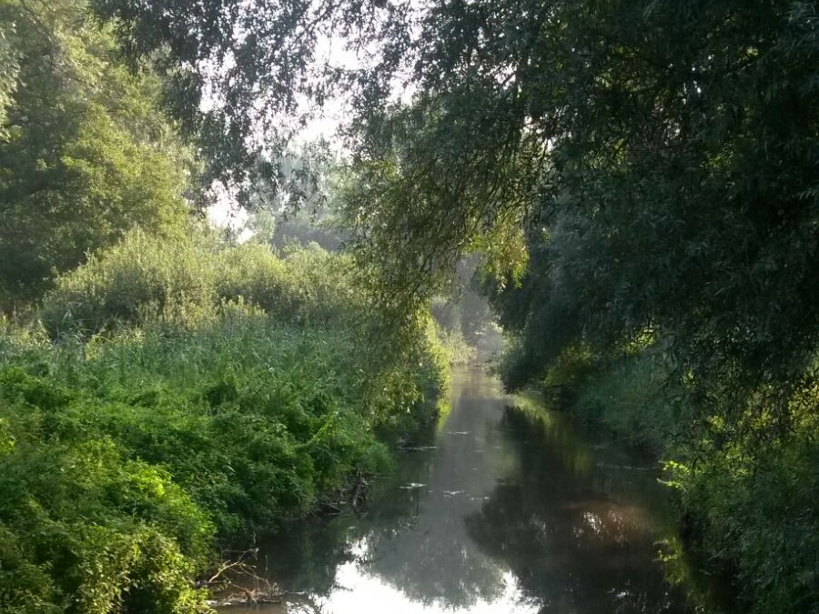 Ludwigshafen, Rehbach