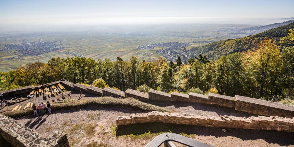 Blick von der Rietburg. 