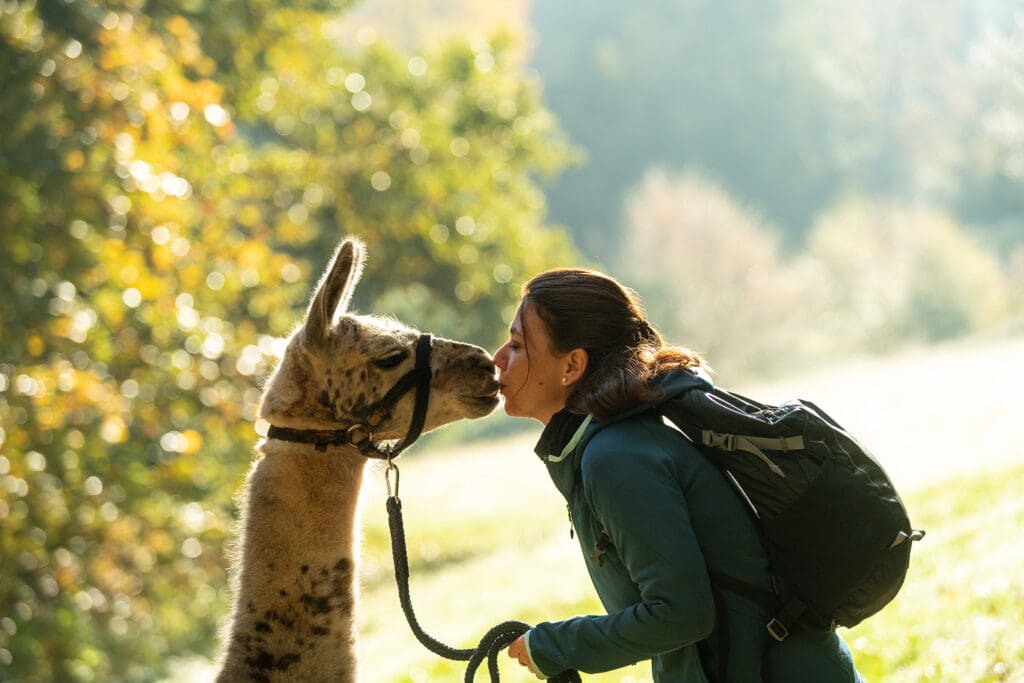 eine Frau küsst ein Lama auf die Schnauze