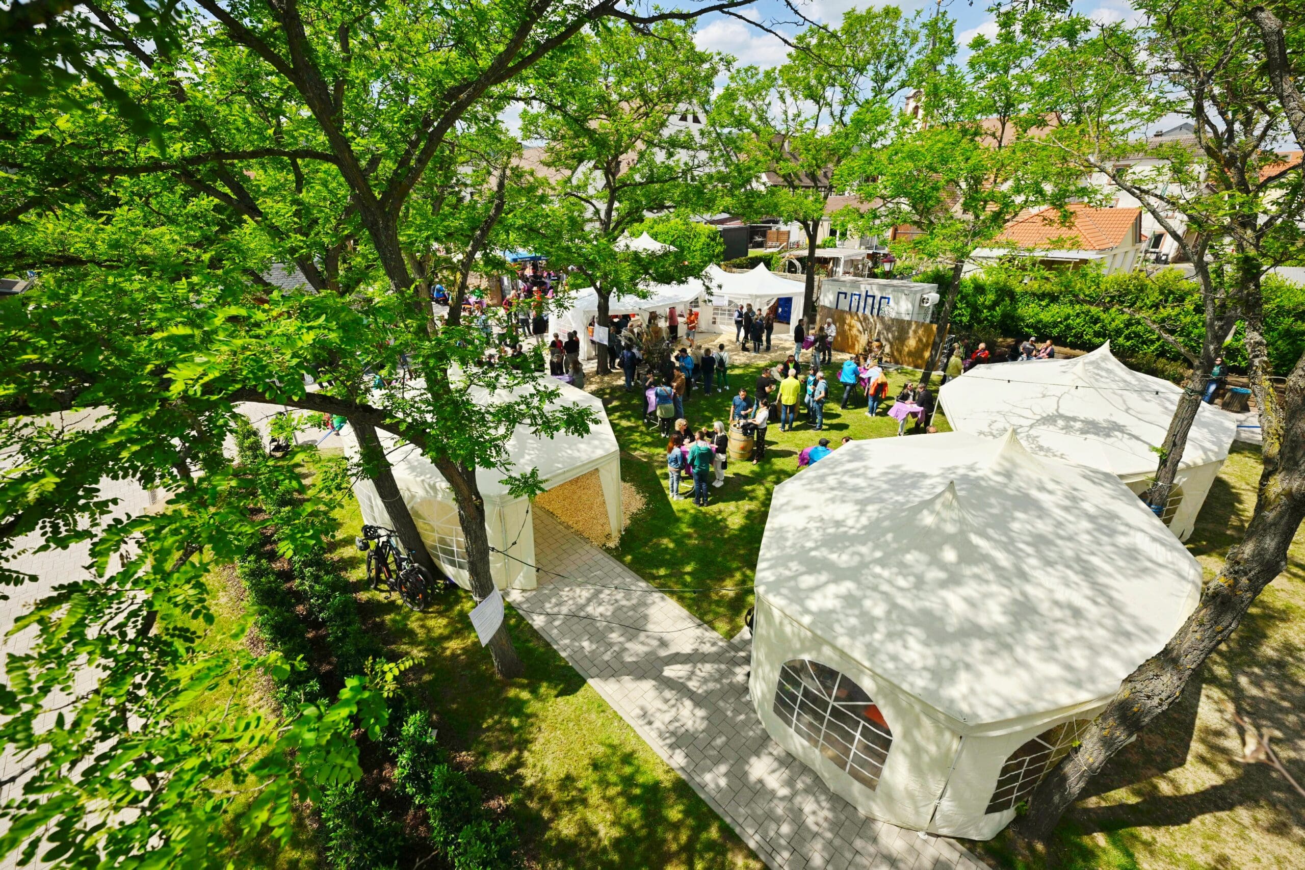 Maifest in Maikammer