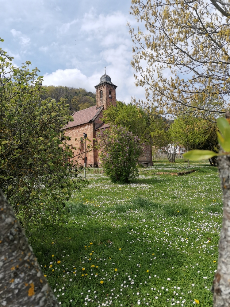 Nikolauskapelle Klingenmünster im Frühling