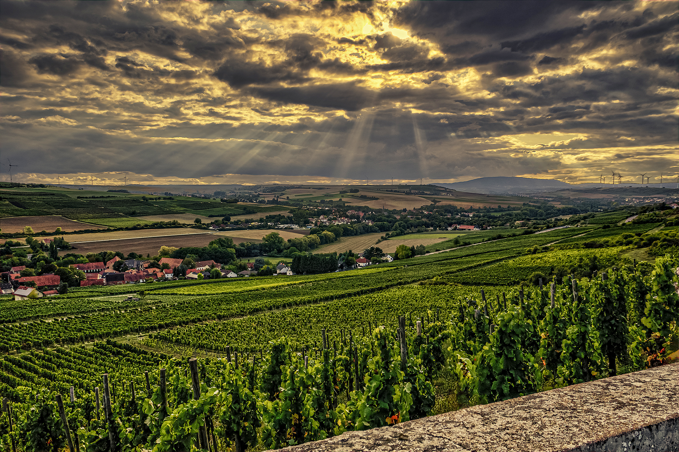 Blick auf den Donnersberg