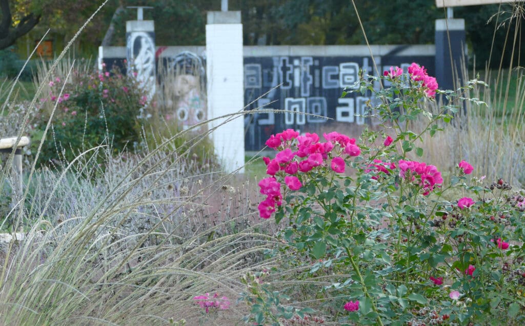 Ebertpark Ludwigshafen