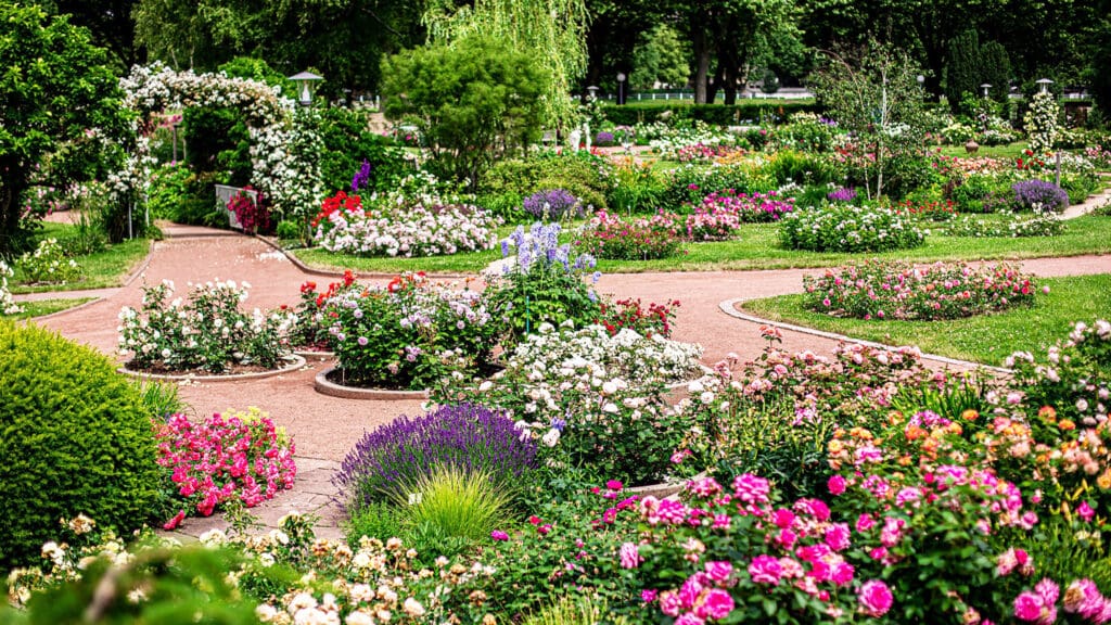 Rosengarten Zweibrücken