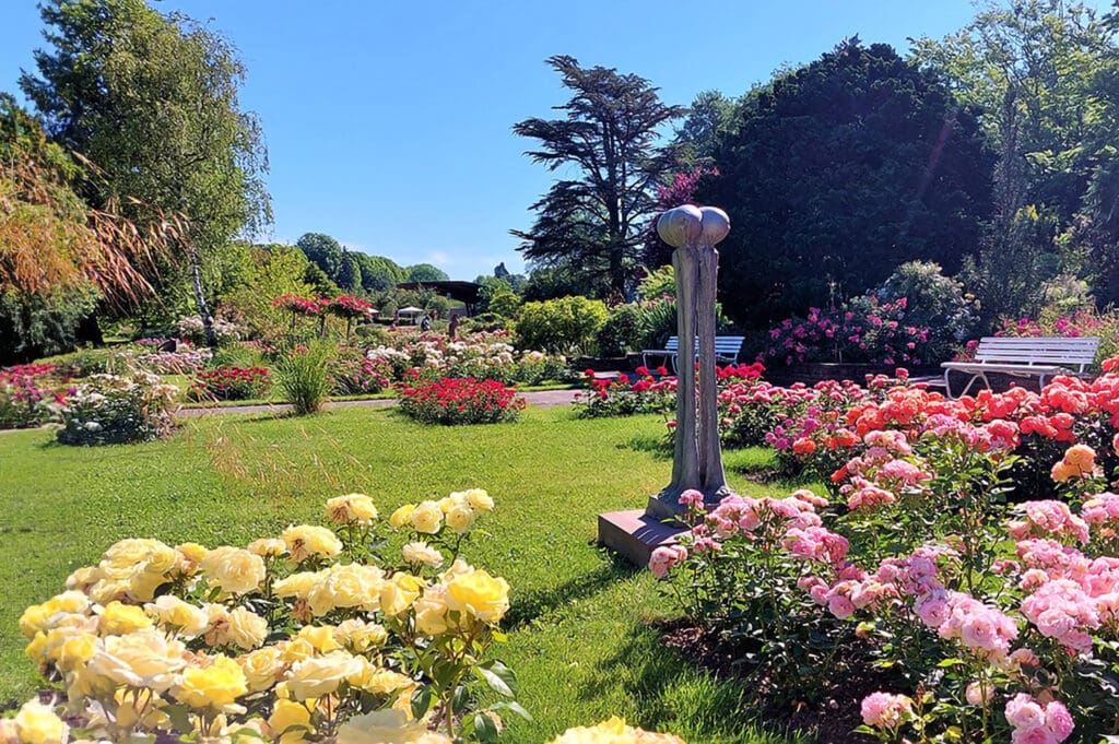 Rosengarten Zweibrücken