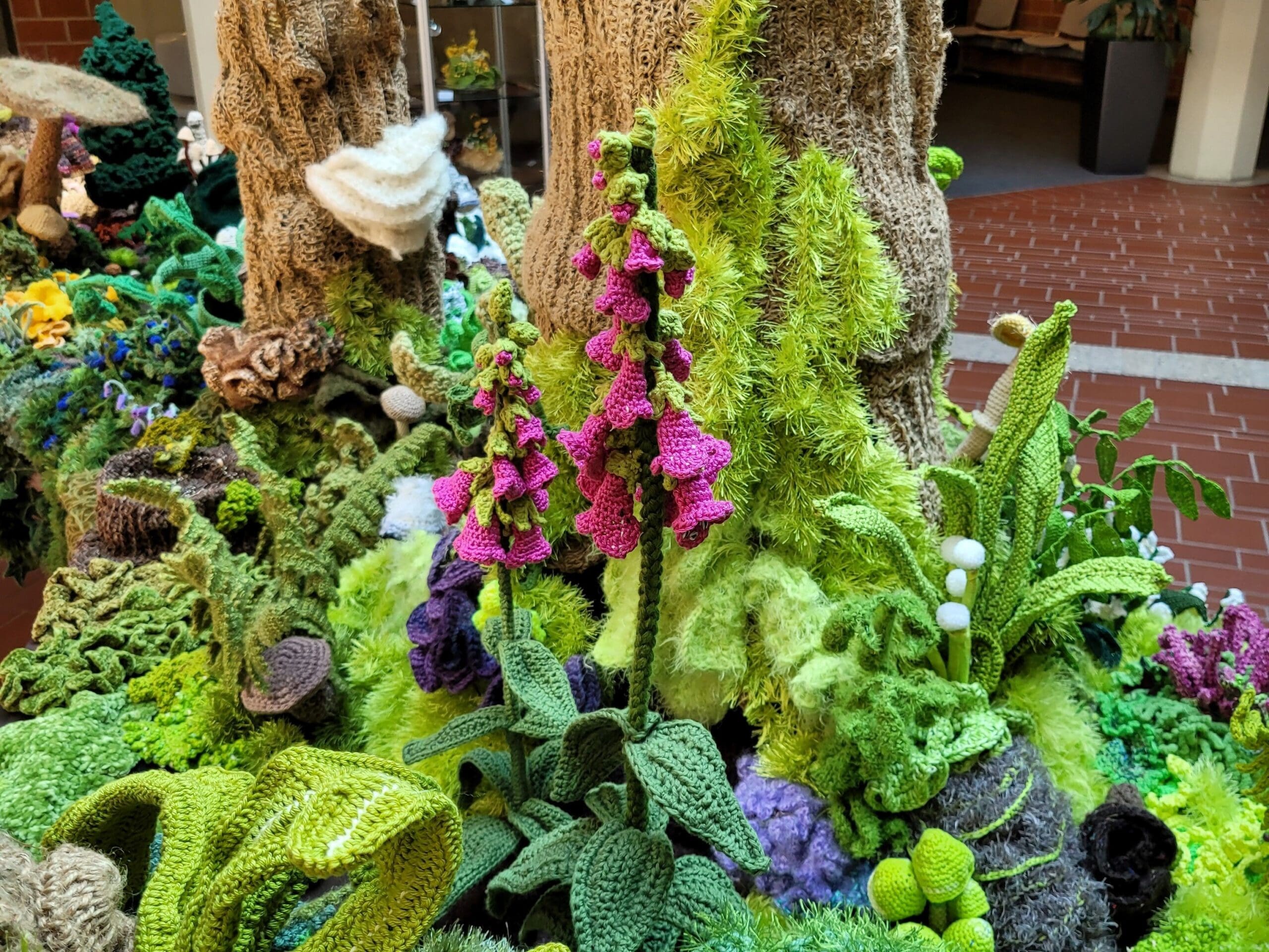 Ausstellung Waldwunder