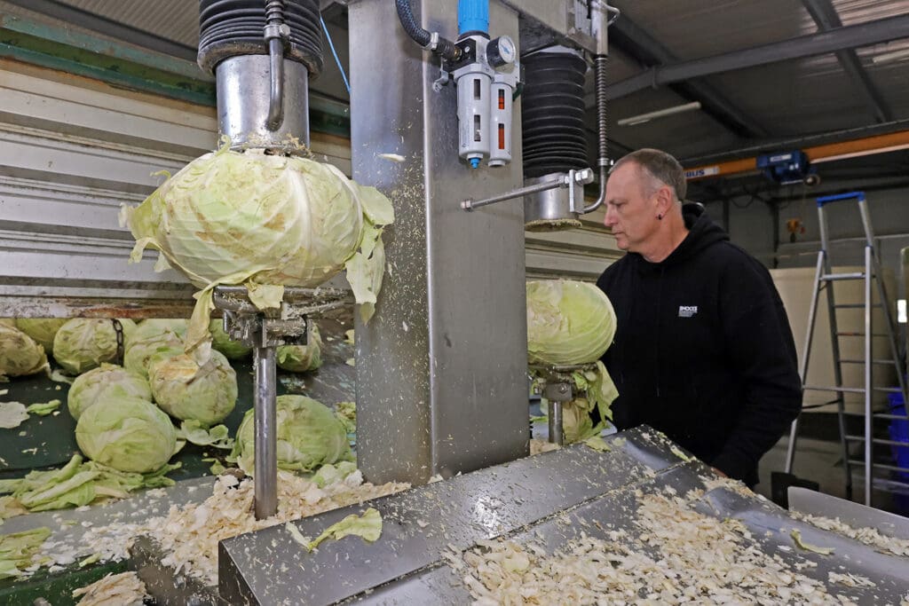 Verarbeitung des Kohls