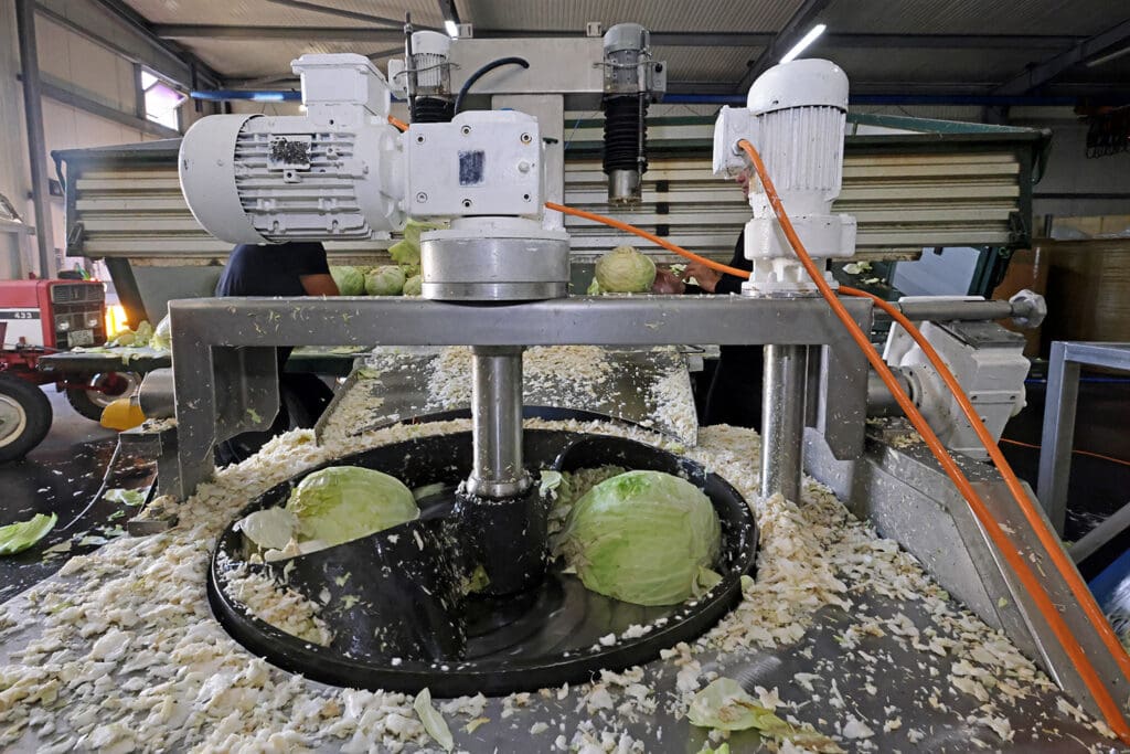 Verarbeitung des Kohls