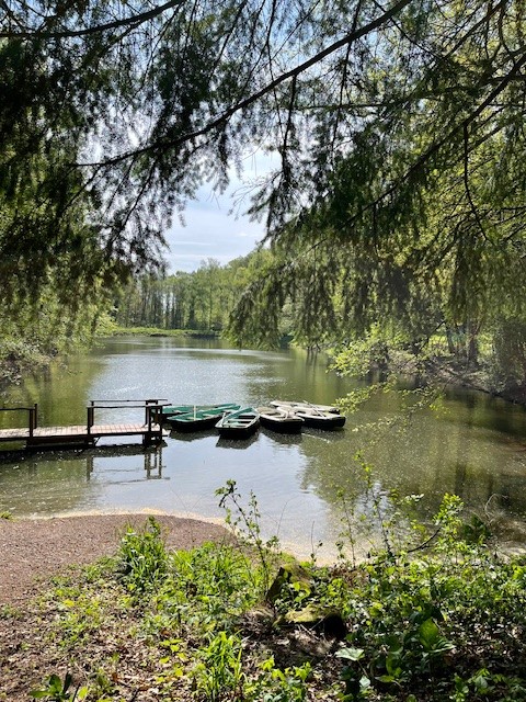 Hilschweiher Edenkoben