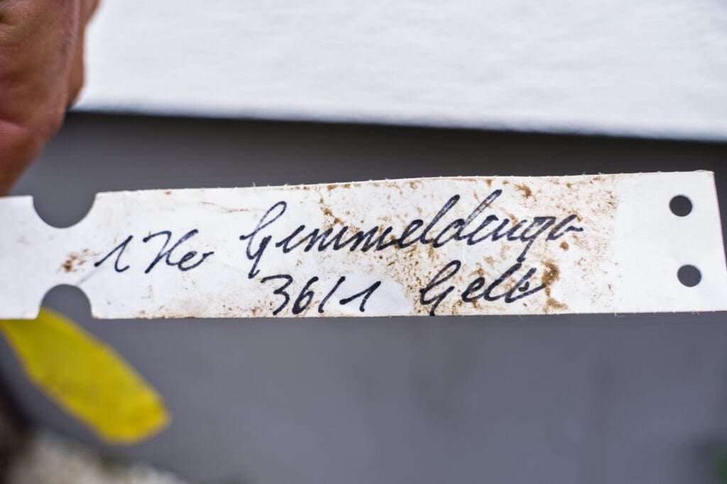 Beschriftung eines Mandelbaums