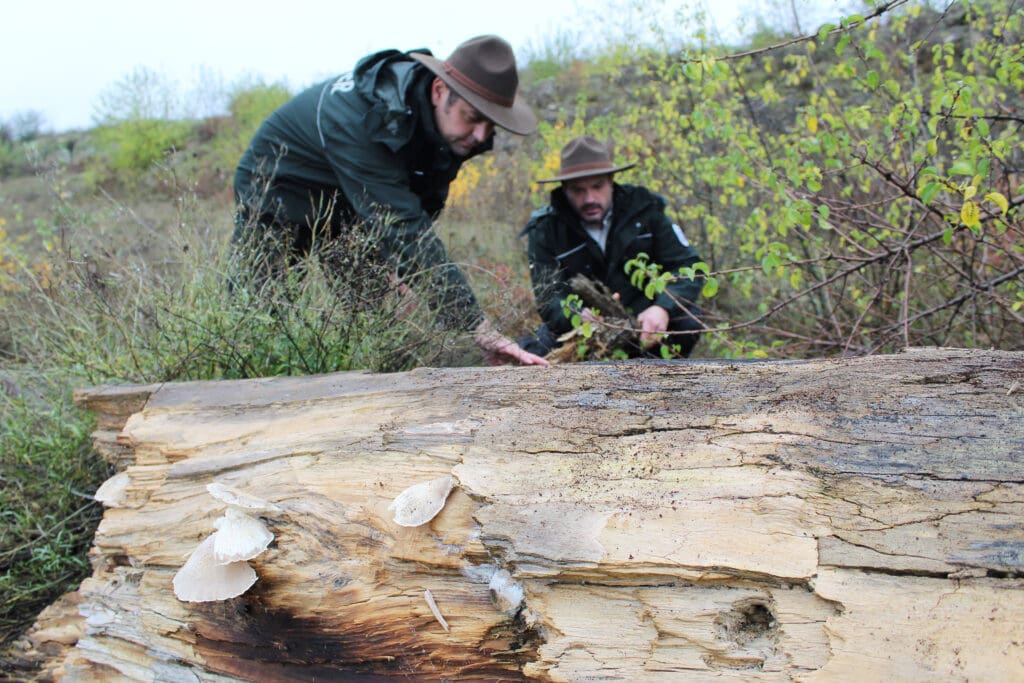 Manuel Rautenberg und Christoph Bauer