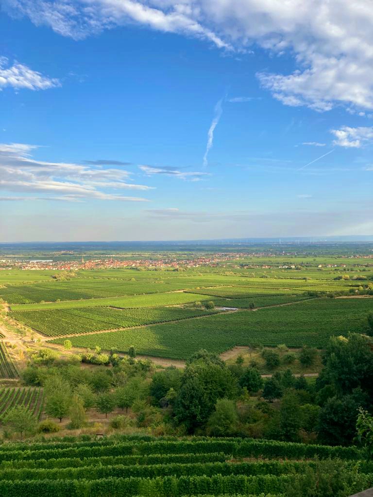 St. Martin Tour Schöne Aussicht