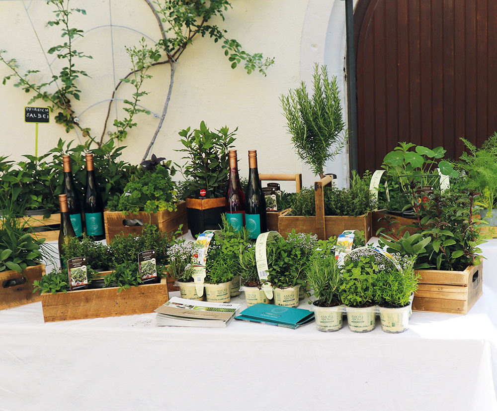Stand mit Pflanzen, Kräutern und Weinflaschen.