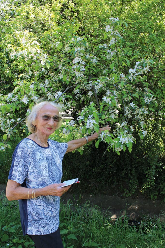 Ursula Peter-Kohlmann