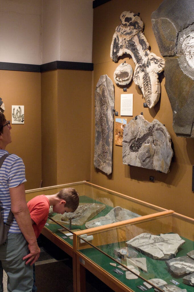 Paläontologisches Museum Nierstein