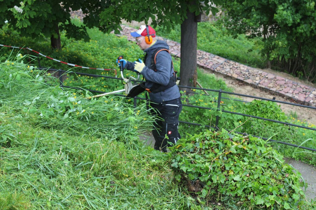 Grünpflege an der Wachtenburg