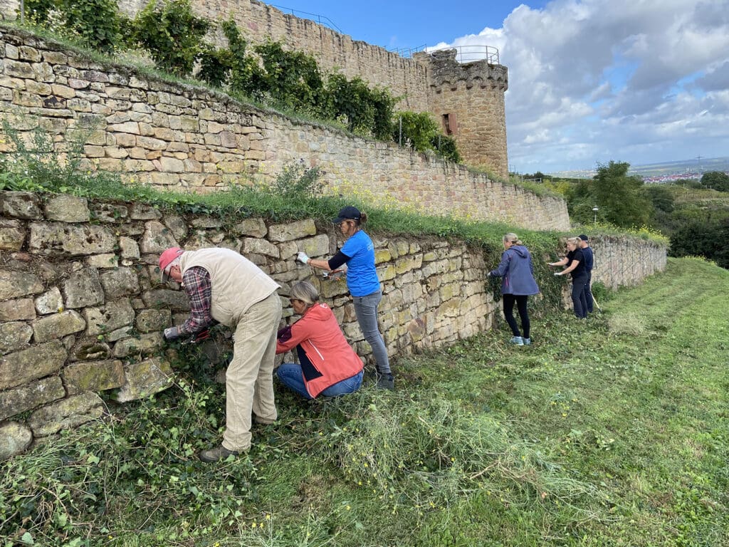 Grünpflege an der Wachtenburg