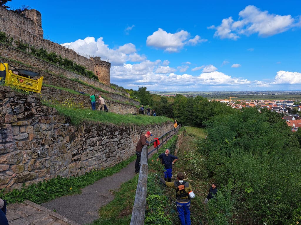 Grünpflege an der Wachtenburg