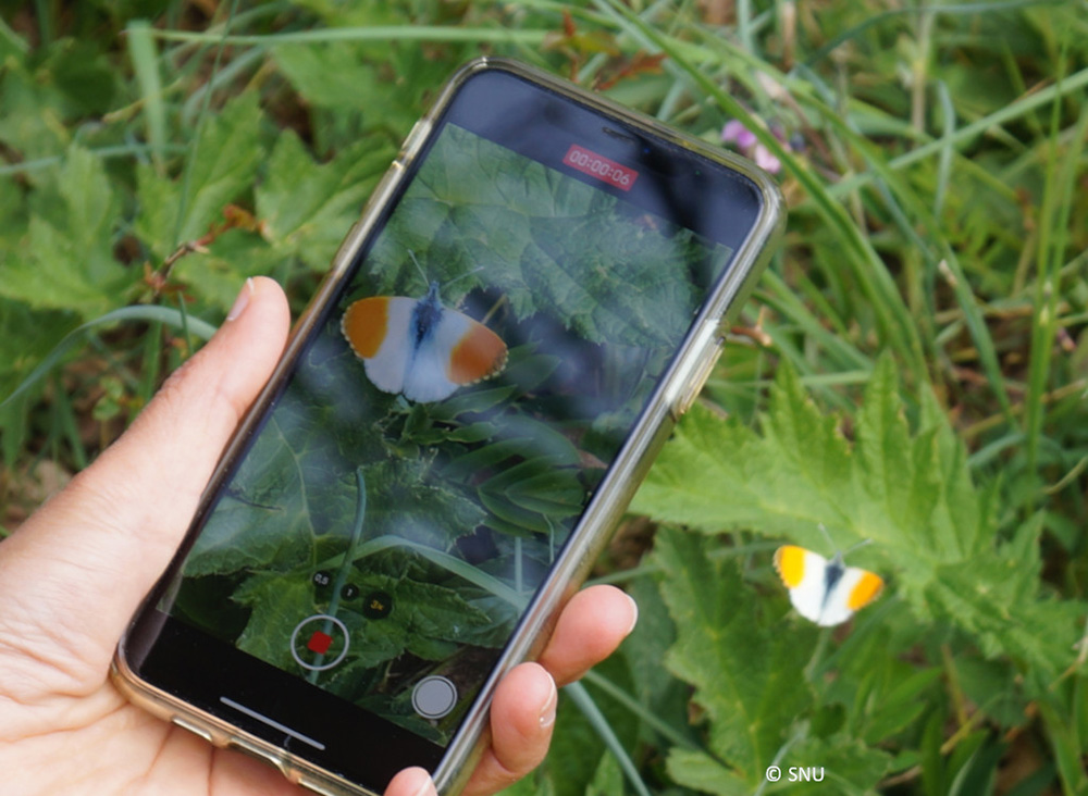 Artenfinder Handyfoto