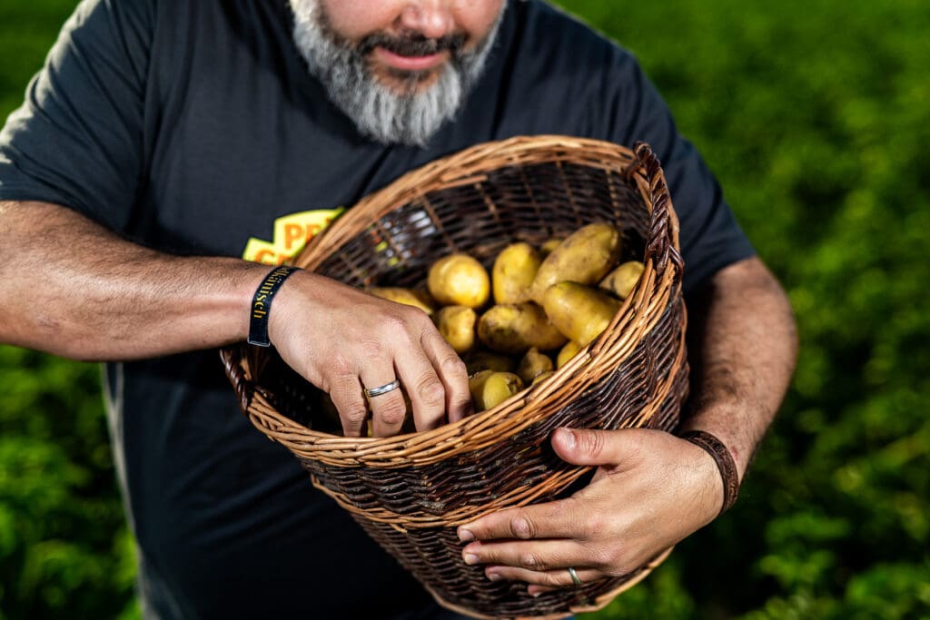 Kartoffeln in einem Korb