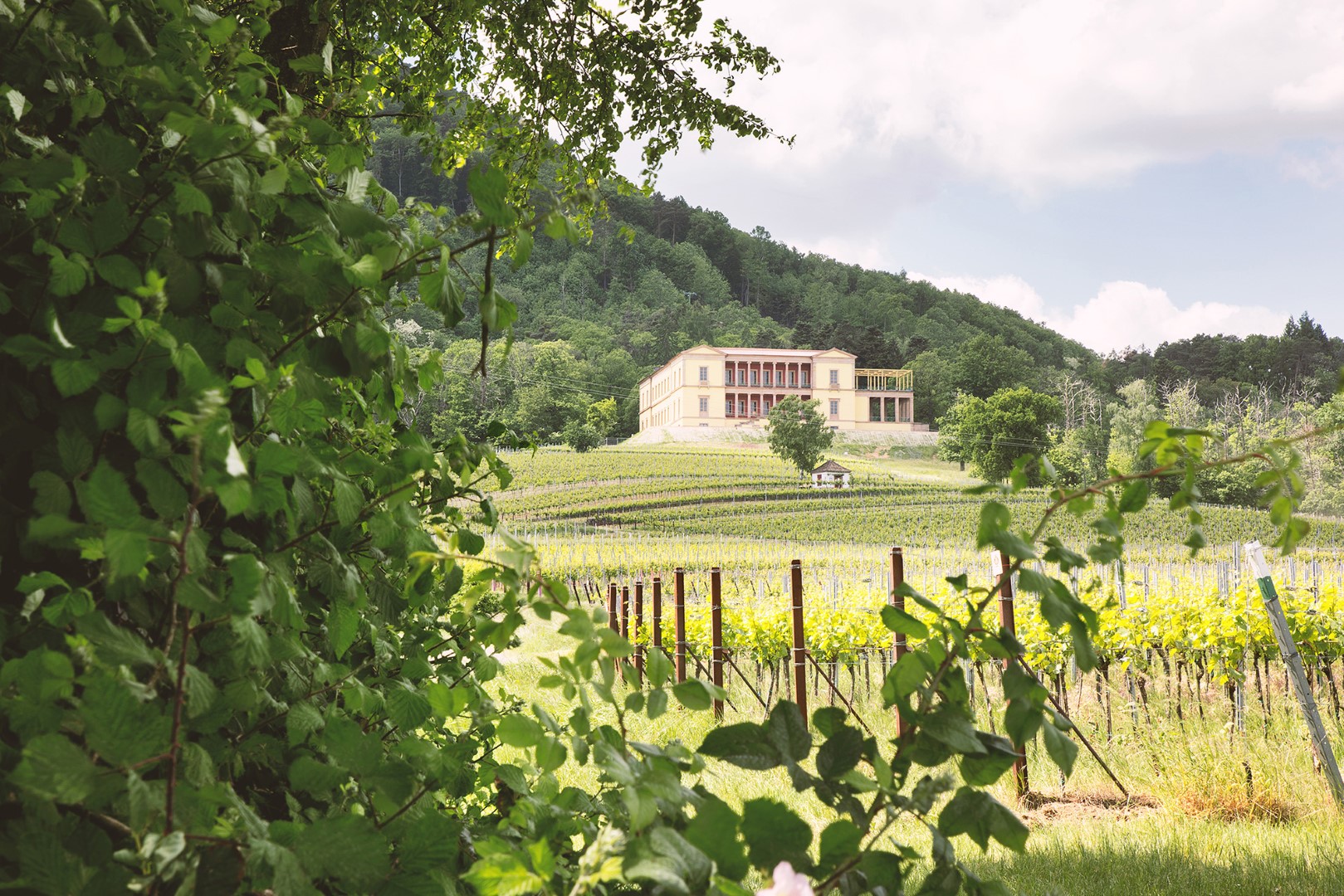 Villa_Ludwigshöhe_außen