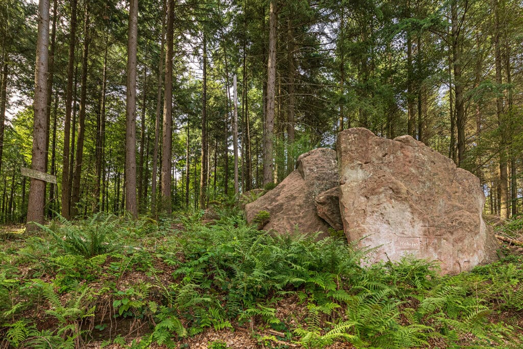 Hoher Fels bei Mehlingen