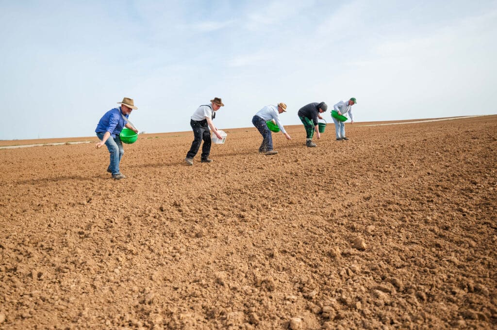 Helfer bei der Einsaat