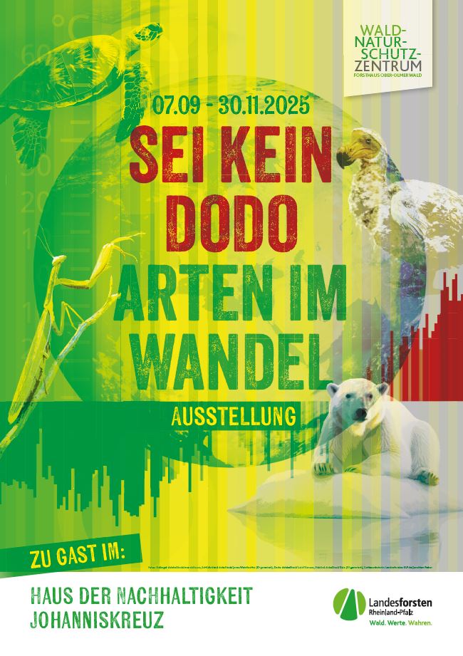 Sei kein Dodo_Landesforsten.RLP.de_ J. Fieber