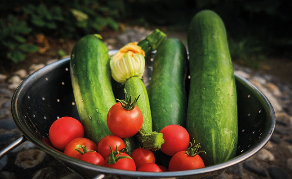 Gemüse in einer Schale