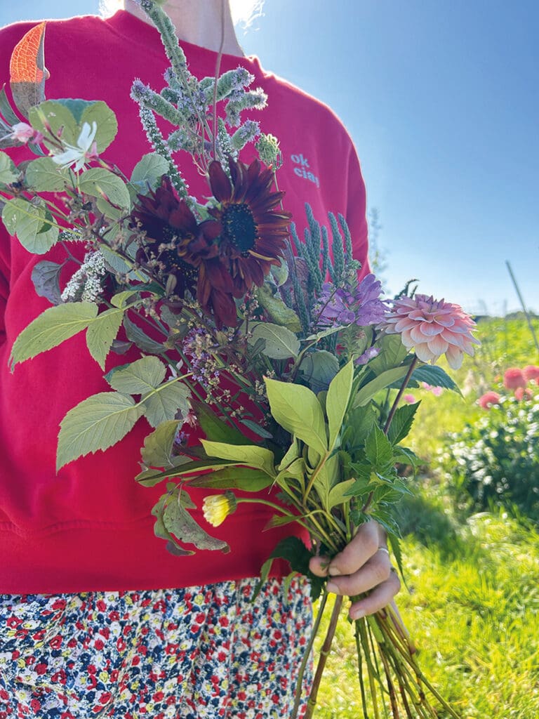 Gepflückter Blumenstrauß