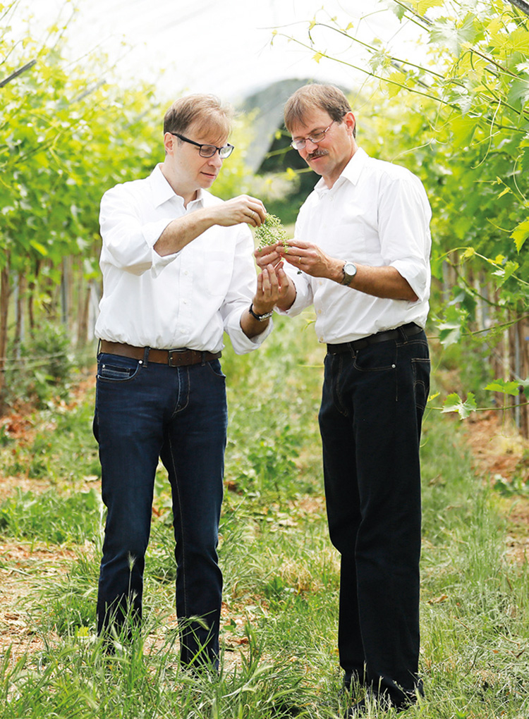 Alexander und Jochen Bähr