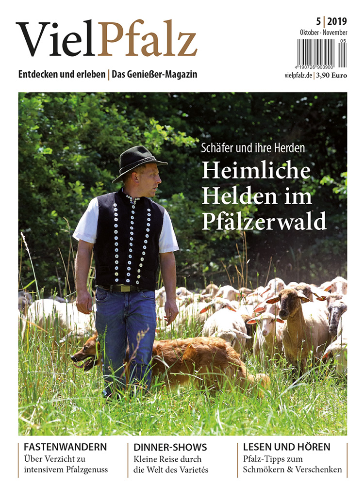 VielPfalz 5/2019