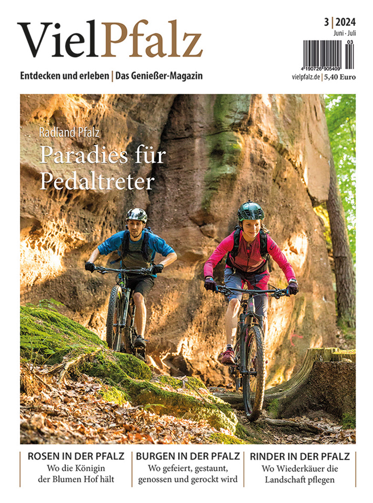 VielPfalz 3/2024