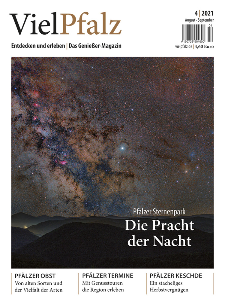 VielPfalz 4/2021