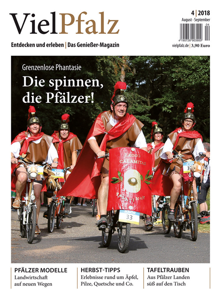 VielPfalz 4/2018