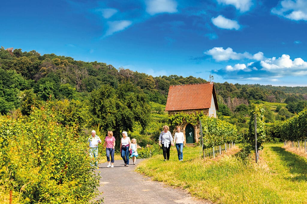Wandern bei Deidesheim